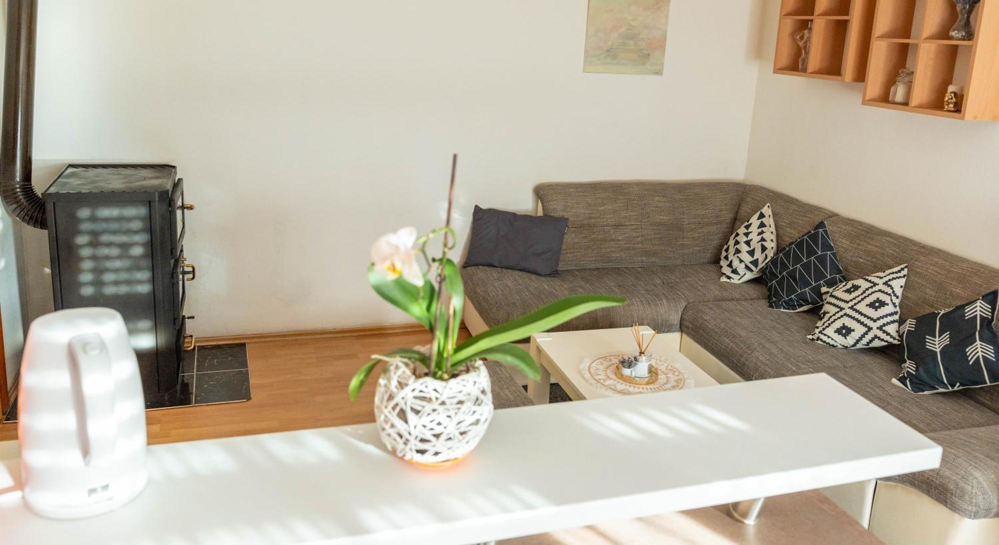 Apartman Lili 克宁 外观 照片